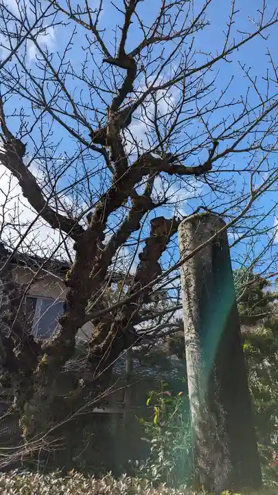 證安院(京都府)