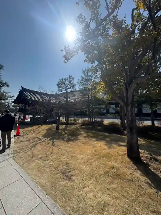 蓮華王院(三十三間堂)の御朱印