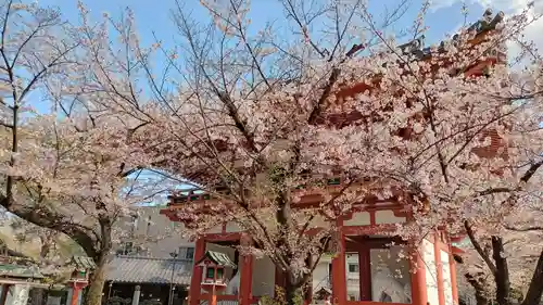 瀧泉寺（目黒不動尊）の自然