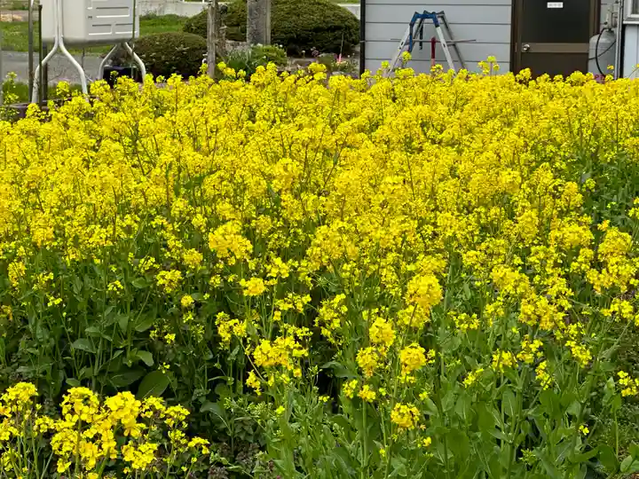 戸塚山 泉養院 置賜三十三番札所の自然
