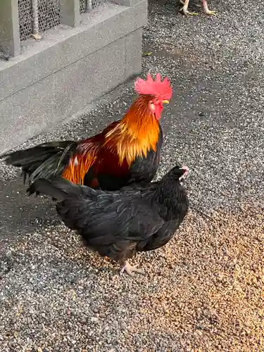 石上神宮(奈良県)