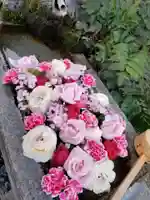 本郷氷川神社(東京都)