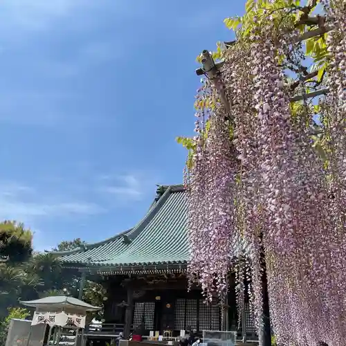 妙福寺の本殿・本堂