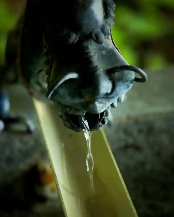 戸隠神社宝光社(長野県)