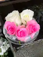 上尾御嶽神社の手水舎