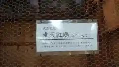 大甕神社の建物その他