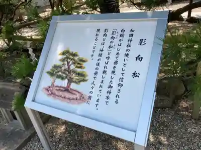和田神社の歴史