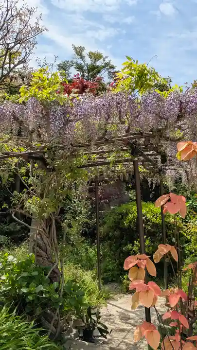 乘願院(京都府)