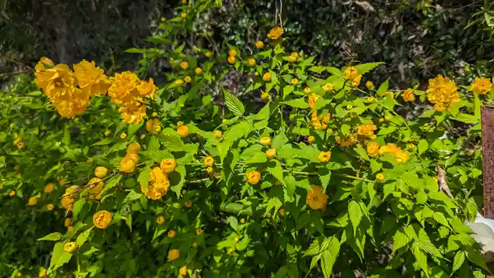 惠心院(京都府)