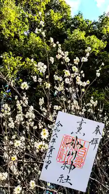 上目黒氷川神社様の通年御朱印
