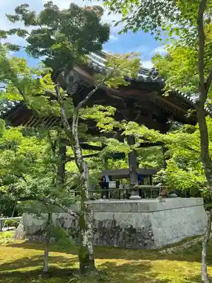 鹿苑寺(金閣寺)(京都府)