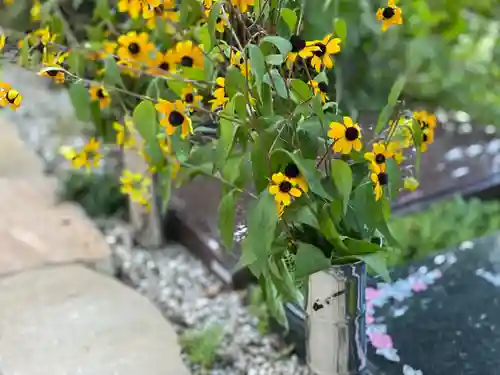円通寺(神奈川県)