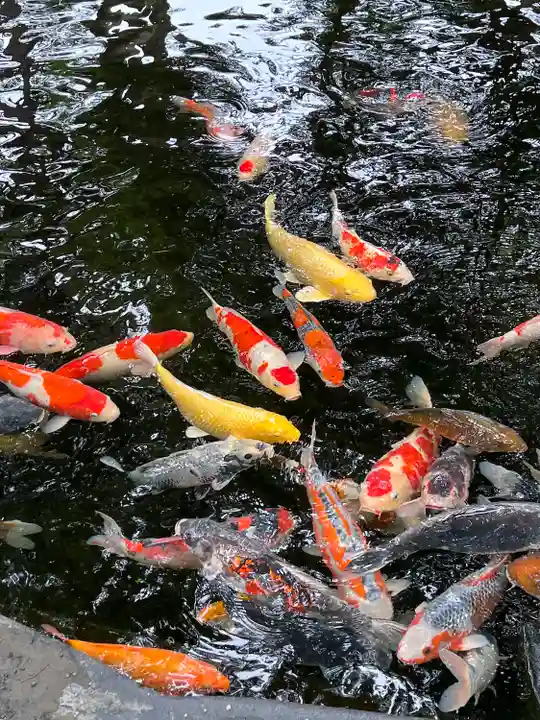 伊豆山神社(静岡県)