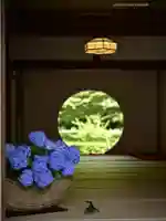 明月院(神奈川県)