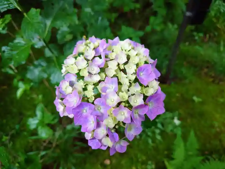 三千院門跡(京都府)