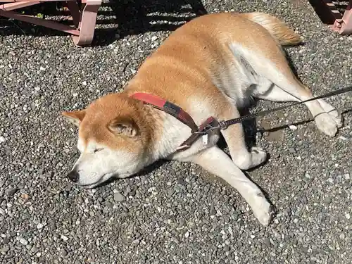 母智丘神社(東京都)