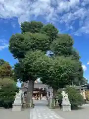 亀ケ池八幡宮の建物その他