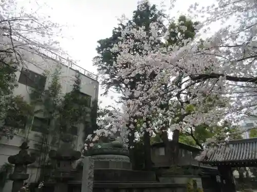 品川寺(東京都)