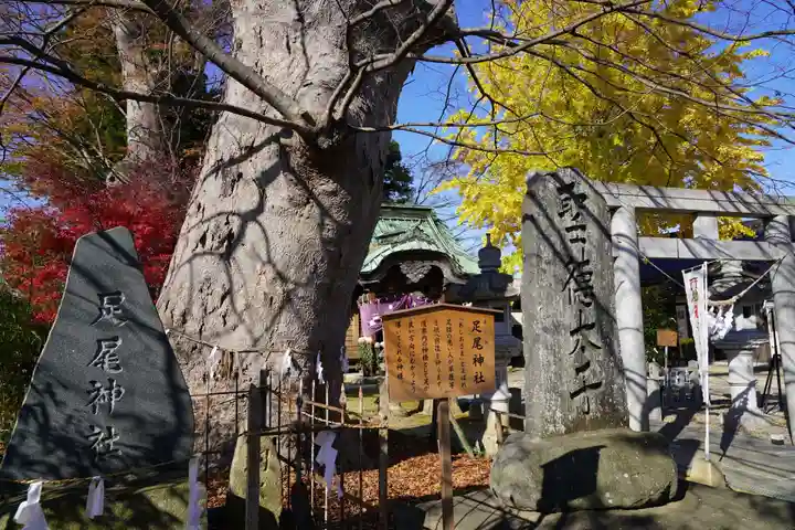 鹿島御子神社のその他建物