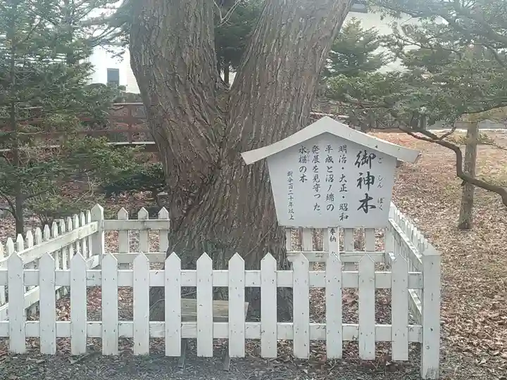 沼ノ端神社(北海道)