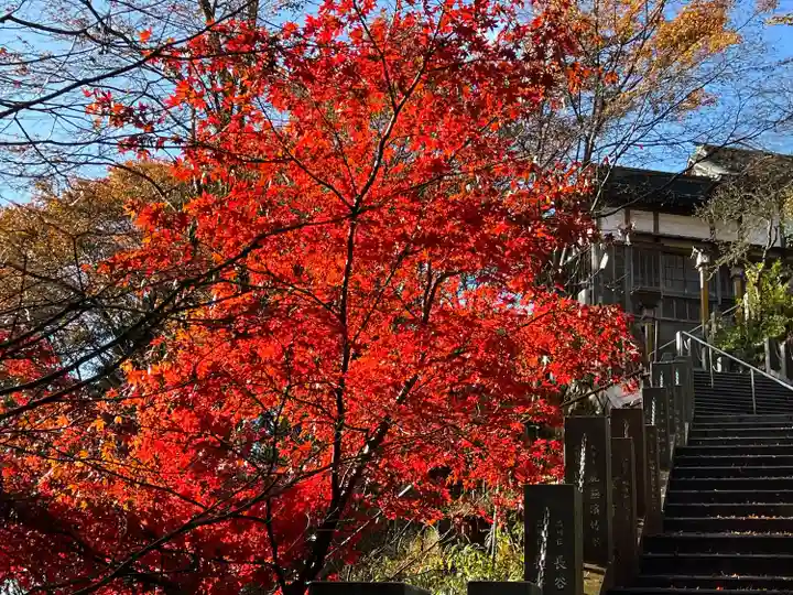 武蔵御嶽神社(東京都)