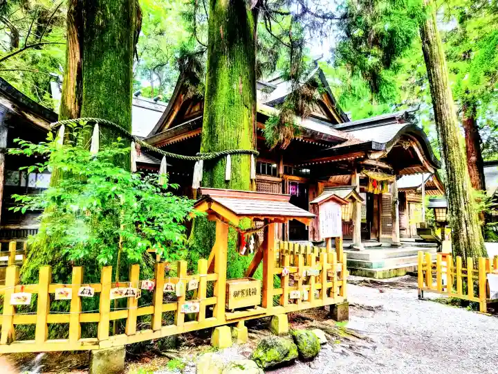 高千穂神社(宮崎県)