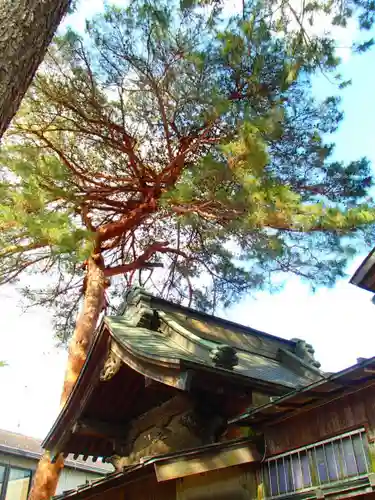 登戸稲荷神社の本殿