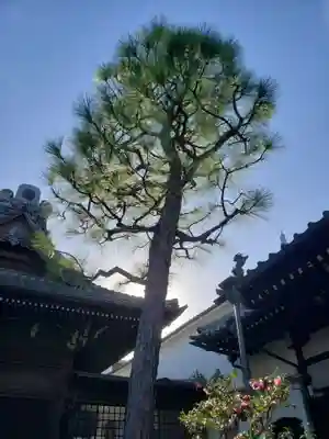 海雲寺(東京都)