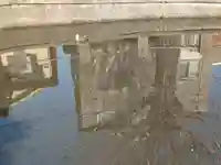 寺谷弁才天の動物