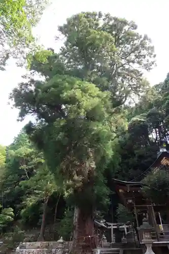 青根天満宮(滋賀県)