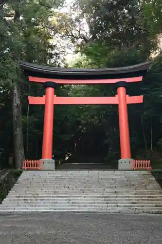 宇佐神宮の鳥居