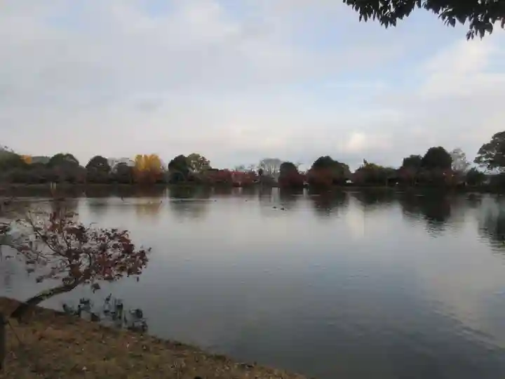 大覚寺(京都府)