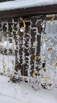 旭川神社のおみくじ