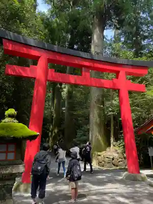 箱根神社の鳥居