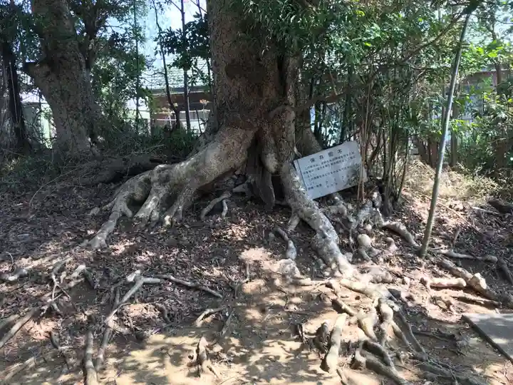 愛宕神社の自然