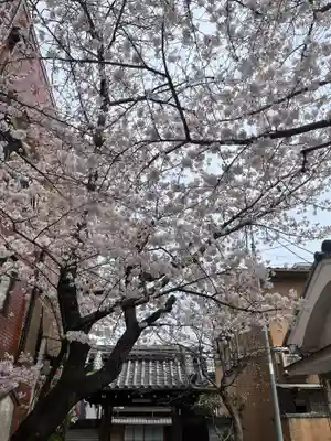 墨染寺（桜寺）の自然