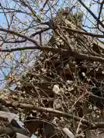 白幡八幡神社(神奈川県)