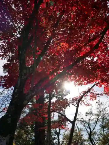 葭原観音堂の自然