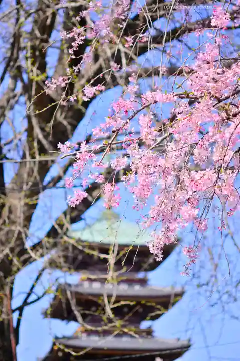 上野東照宮(東京都)