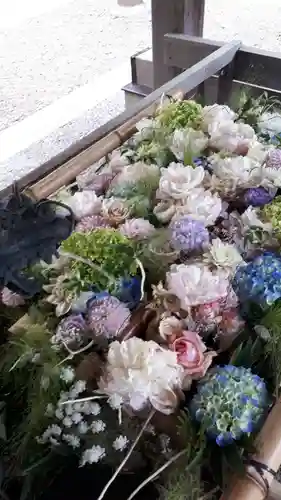 江南神社の手水舎