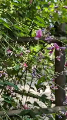 梨木神社(京都府)