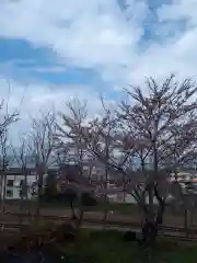 豊足神社の景色