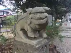 菊田神社の狛犬