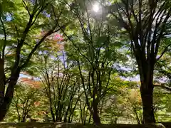 土津神社｜こどもと出世の神さまの建物その他