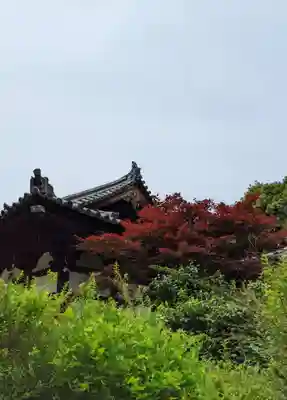 海龍王寺(奈良県)