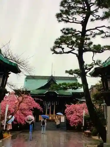 桜神宮(東京都)