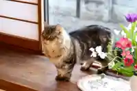 善龍寺(東京都)