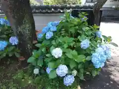 妙楽寺(神奈川県)