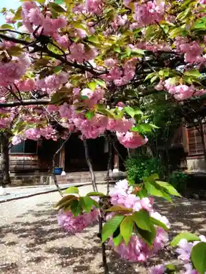 境妙寺(東京都)