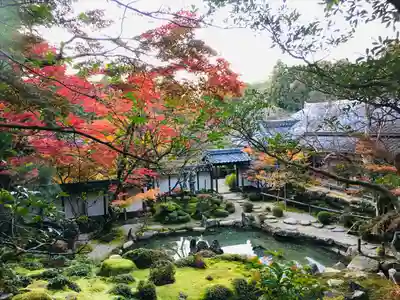 西明寺(滋賀県)